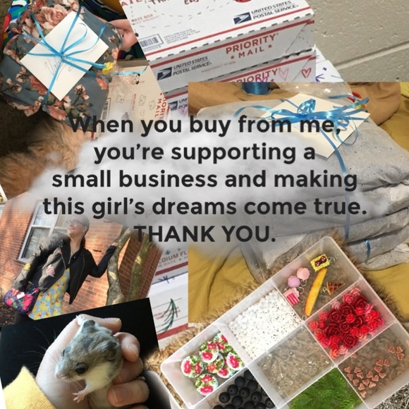 Meet your Posher, Veronica - Picture 2 of 7